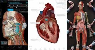 تحميل برنامج anatomy 3d atlas مهكر 2023 من ميديا فاير للاندرويد