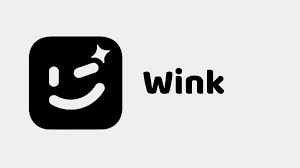 تحميل برنامج wink مهكر 2024 من ميديا فاير للاندرويد